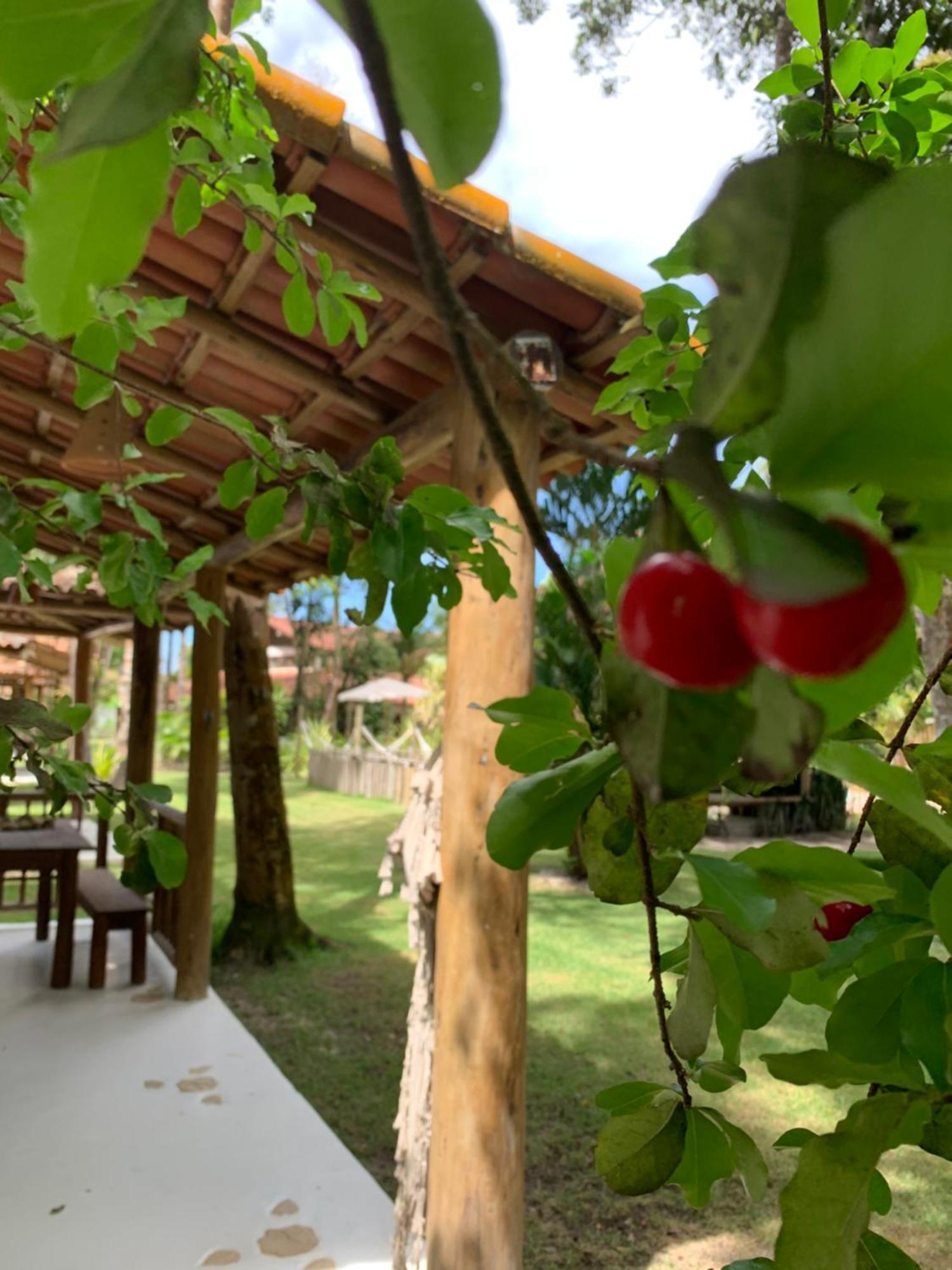 Cheiro Nativo - Chalés&Pousada Trancoso Exterior foto