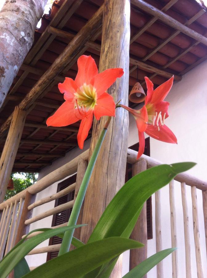 Cheiro Nativo - Chalés&Pousada Trancoso Exterior foto